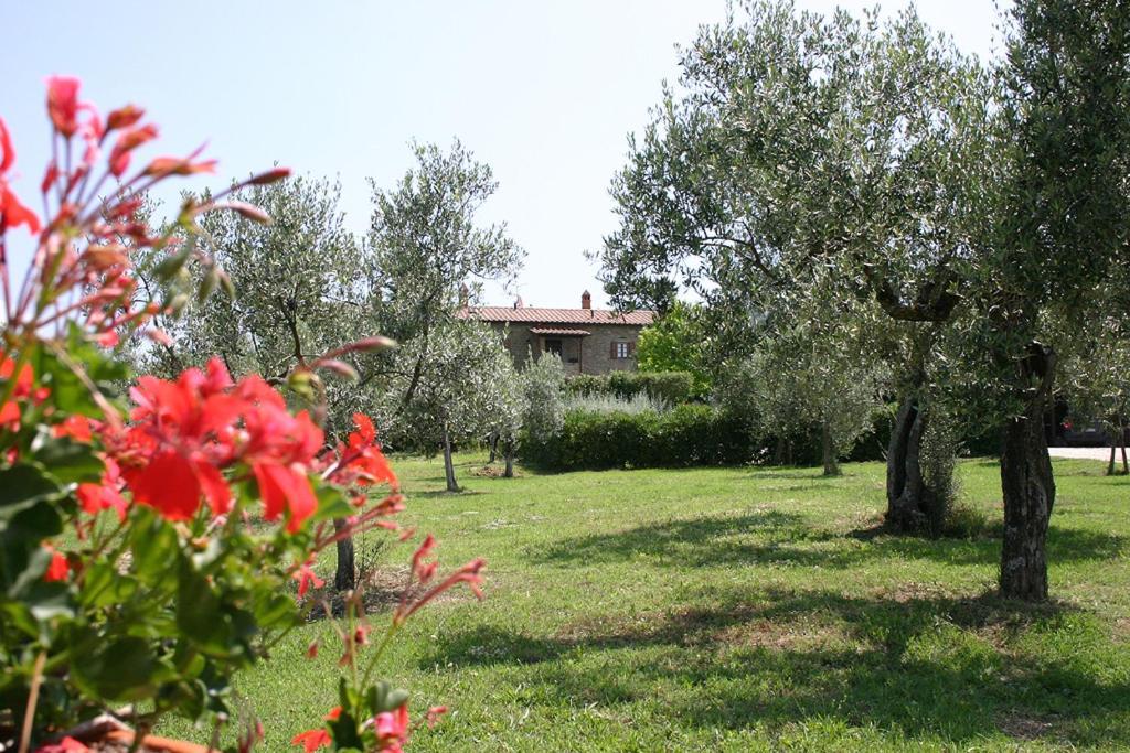 Agriturismo Cortoreggio Cortone Extérieur photo